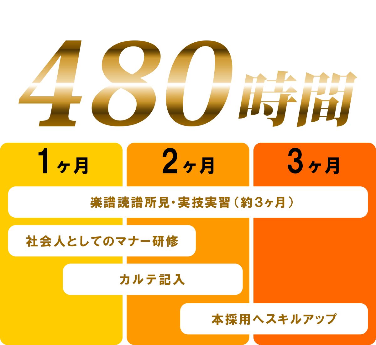 入社後の徹底した社員教育480時間！