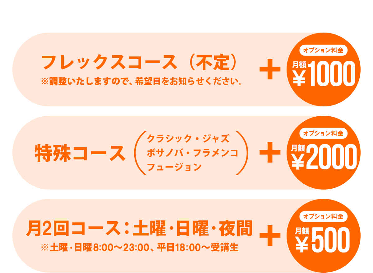 アップチャージでオプションも追加可能